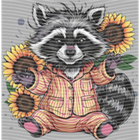 Raccoon-WX 136